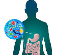 Fix Your Gut, Fix Your Mood