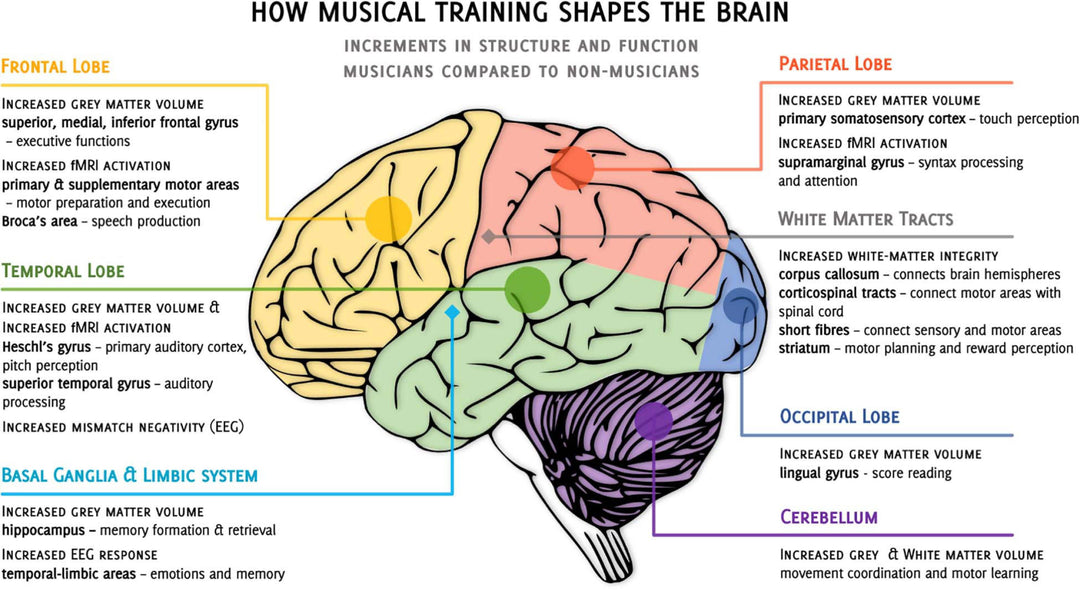 The Surprising Brain Power of Music: Why Listening Could Keep You Young