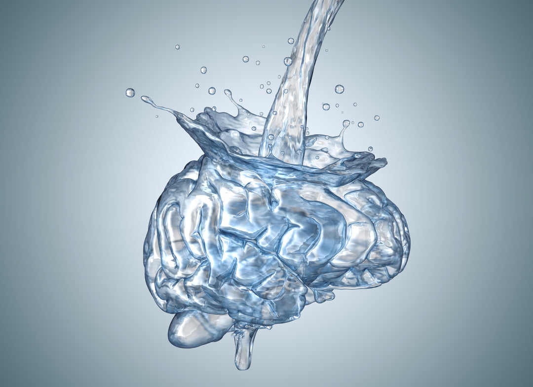 Hydration: Fuel Your Brain & Body