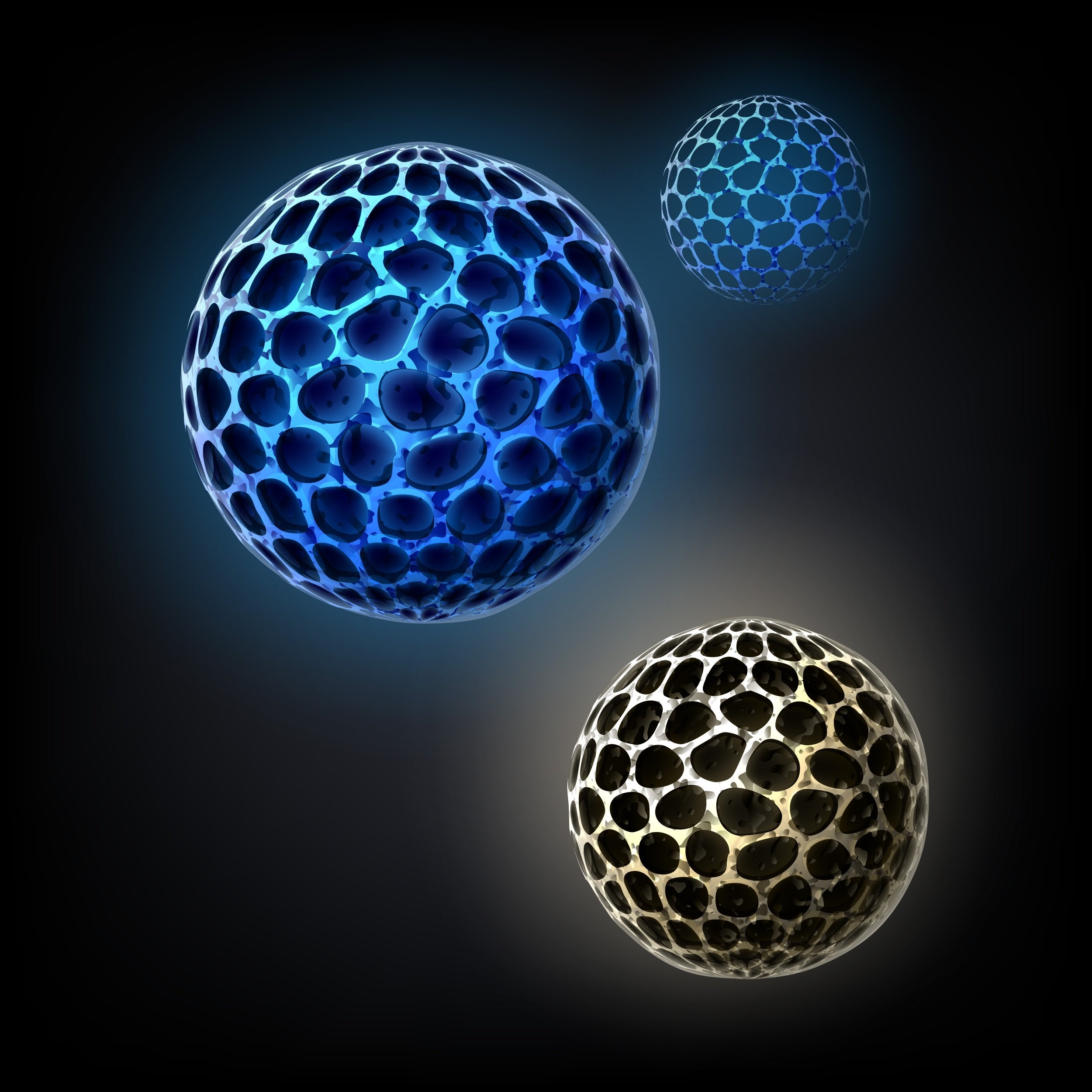 What Are Stem Cells?